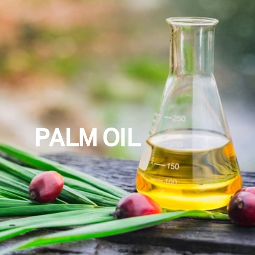 팜유,팜오일(Palm Oil)