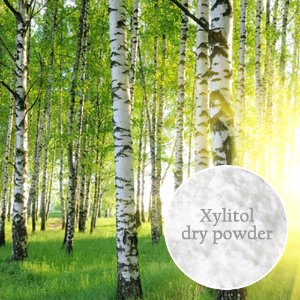 DIY천연화장품,비누재료-자일리톨분말( xylitol)