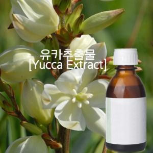 유카추출물-Premium(Yucca Extract)