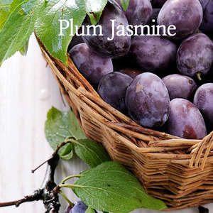 [미국향]플럼쟈스민향 (Plum Jasmine) 