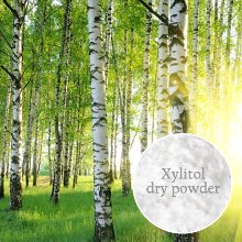 DIY천연화장품,비누재료-자일리톨분말( xylitol)