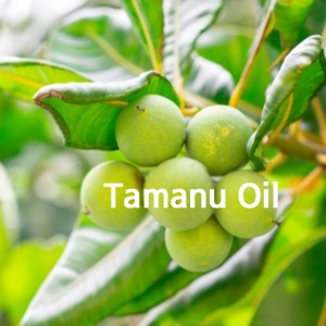 타마누오일(비정제)-그린(tamanu oil)